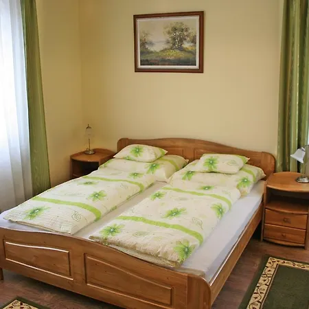 Guest house Platan Vendeghaz *